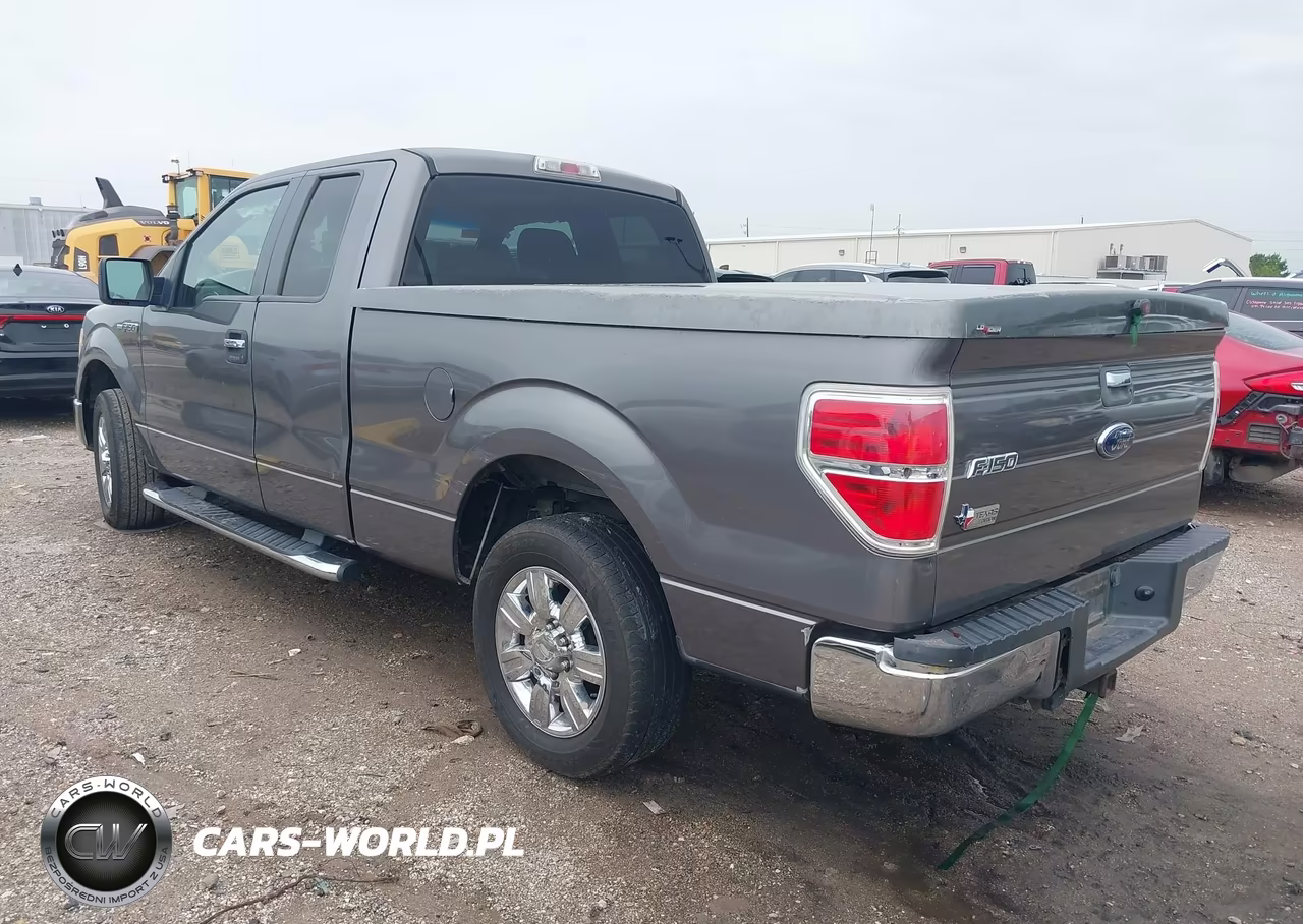 2009 Ford F-150 Stx-Xl-Xlt VIN:1FTRX128X9KB24791 - 3