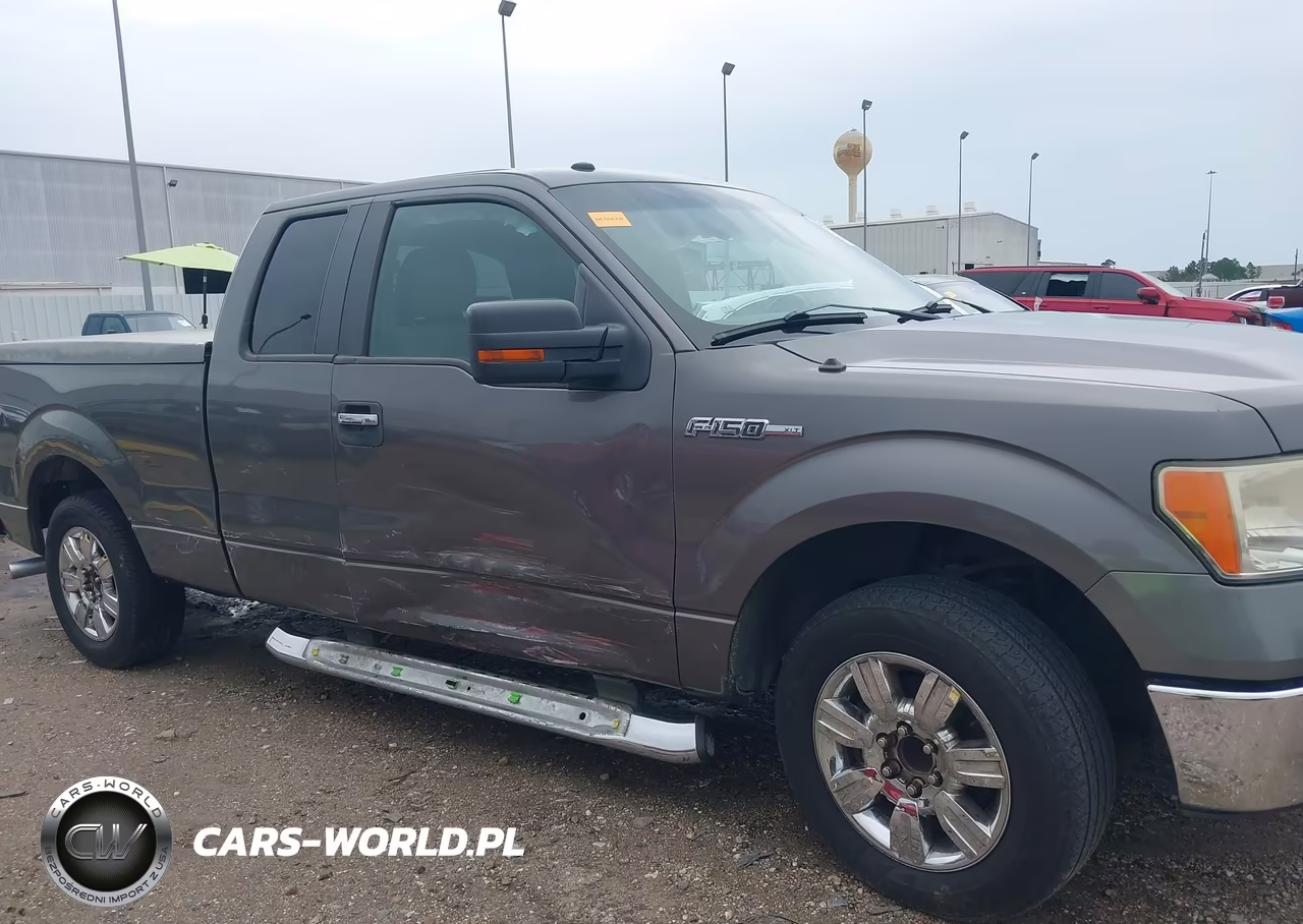 2009 Ford F-150 Stx-Xl-Xlt VIN:1FTRX128X9KB24791 - 6