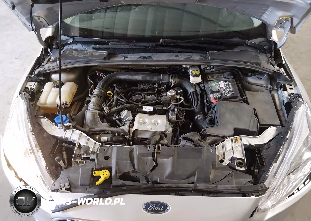 2018 Ford Focus Se VIN:1FADP3FE0JL325559 - 10