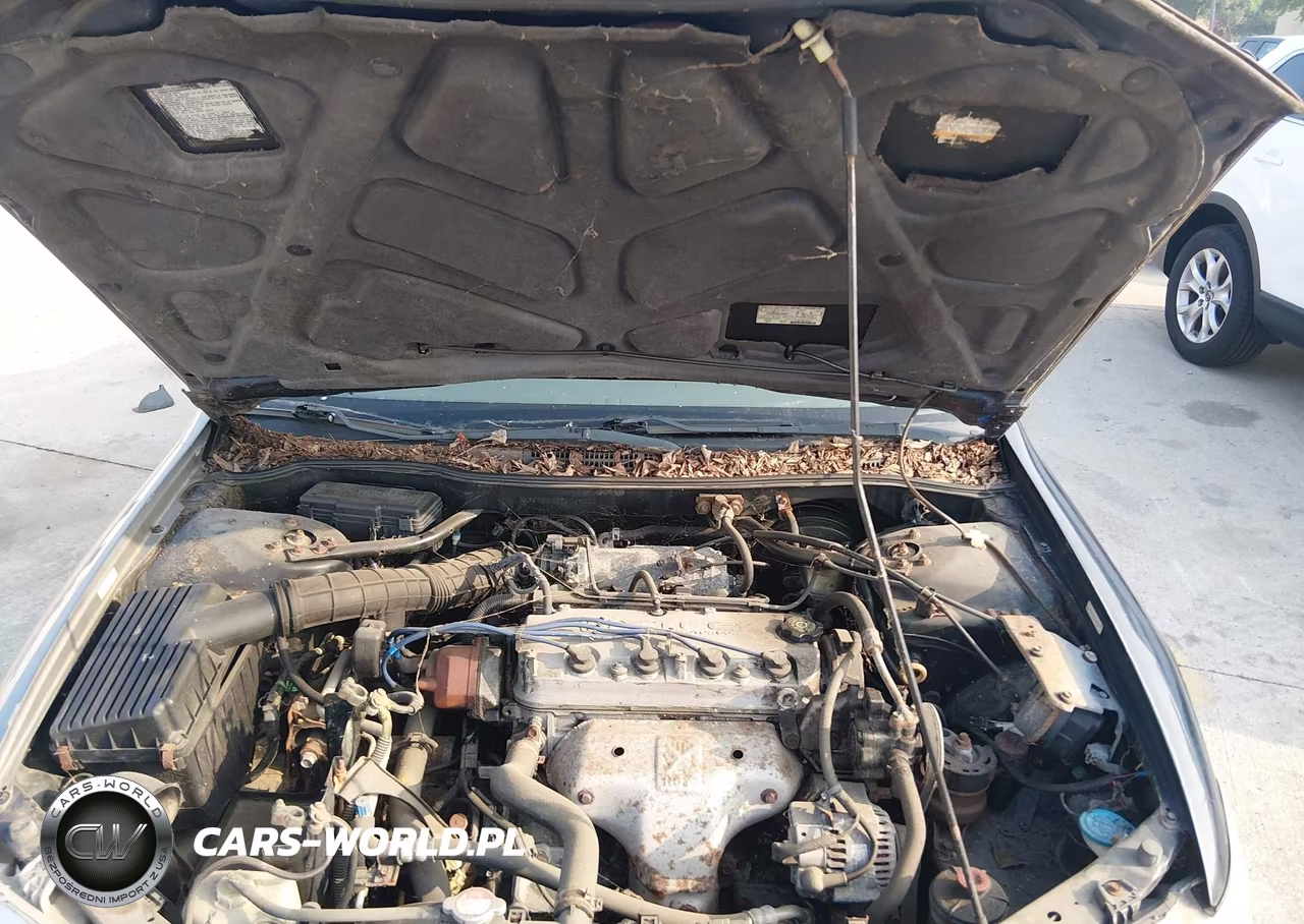 2002 Honda Accord VIN:1HGCG564X2A068255 - 10