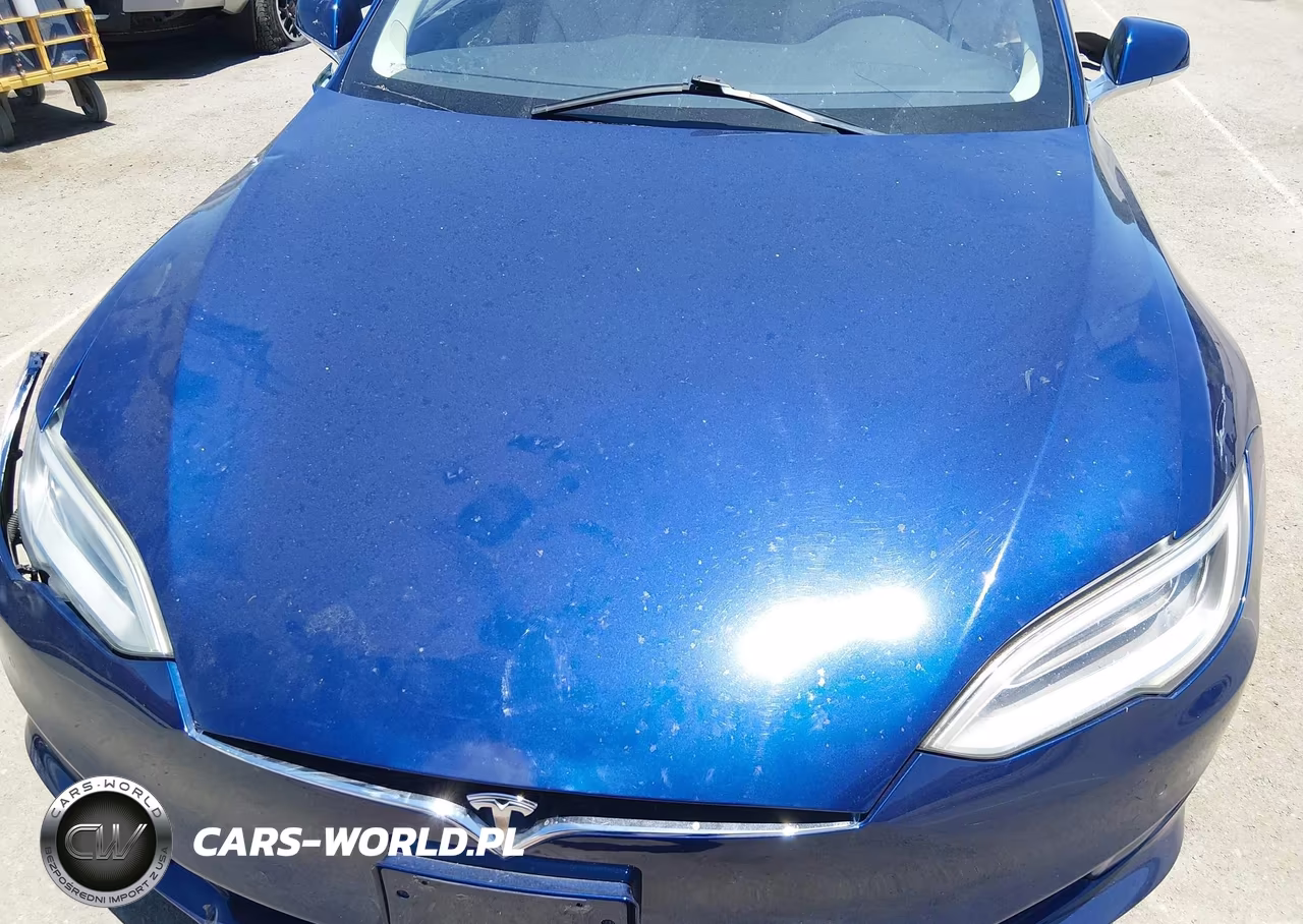 2018 Tesla Model S VIN:5YJSA1E26JF295646 - 10
