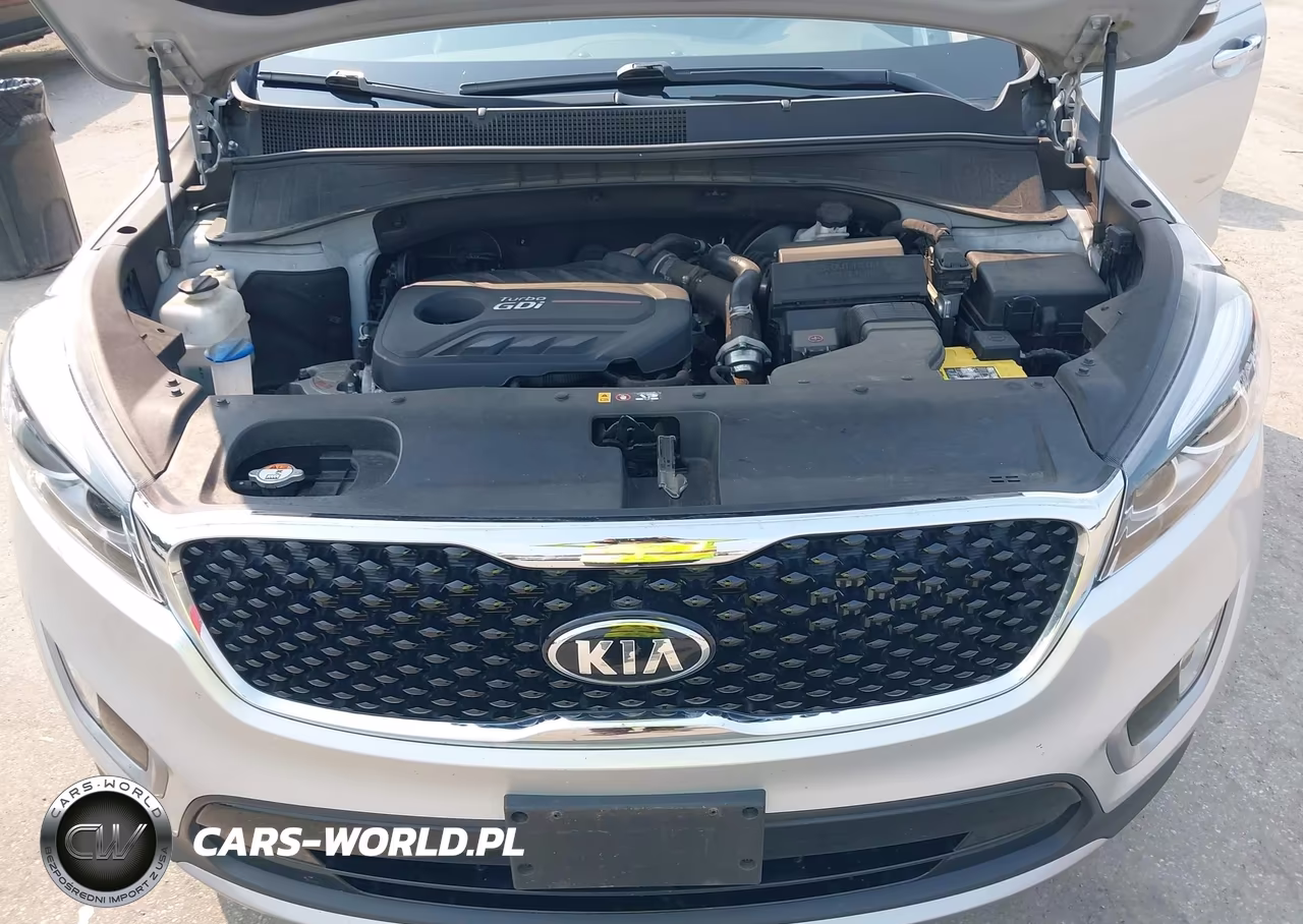 2017 Kia Sorento 2.0T Ex VIN:5XYPH4A17HG273481 - 10