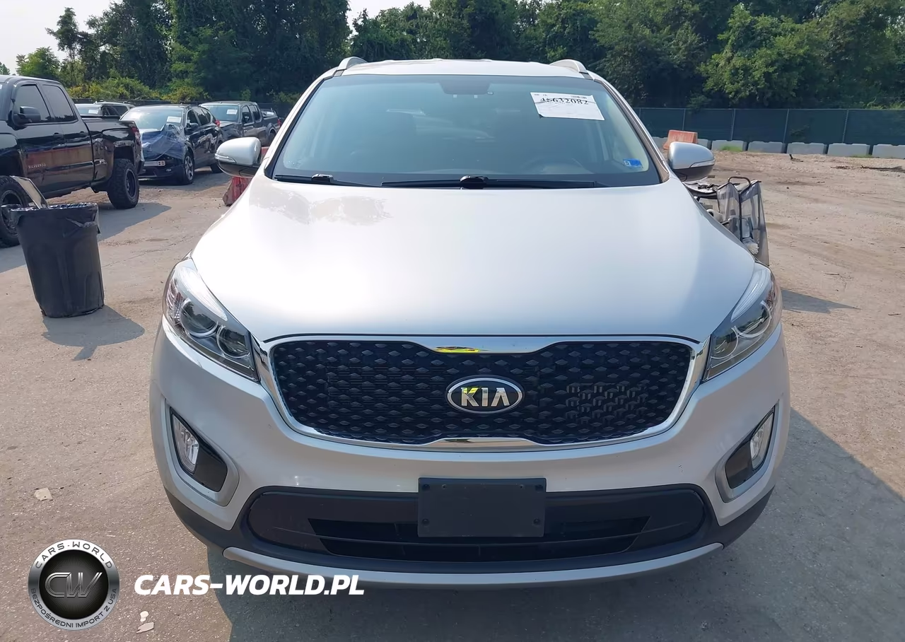 2017 Kia Sorento 2.0T Ex VIN:5XYPH4A17HG273481 - 12