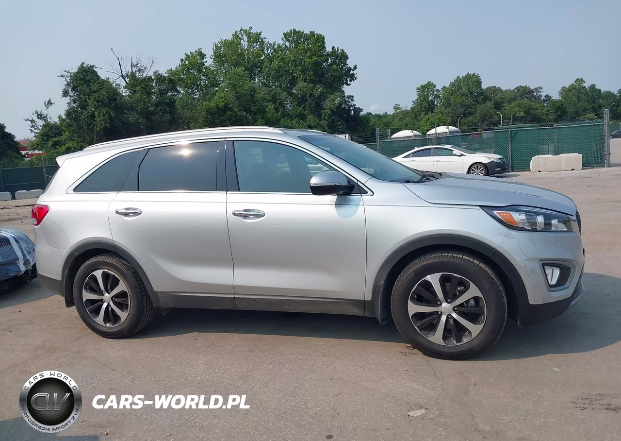 2017 Kia Sorento 2.0T Ex VIN:5XYPH4A17HG273481 - 13
