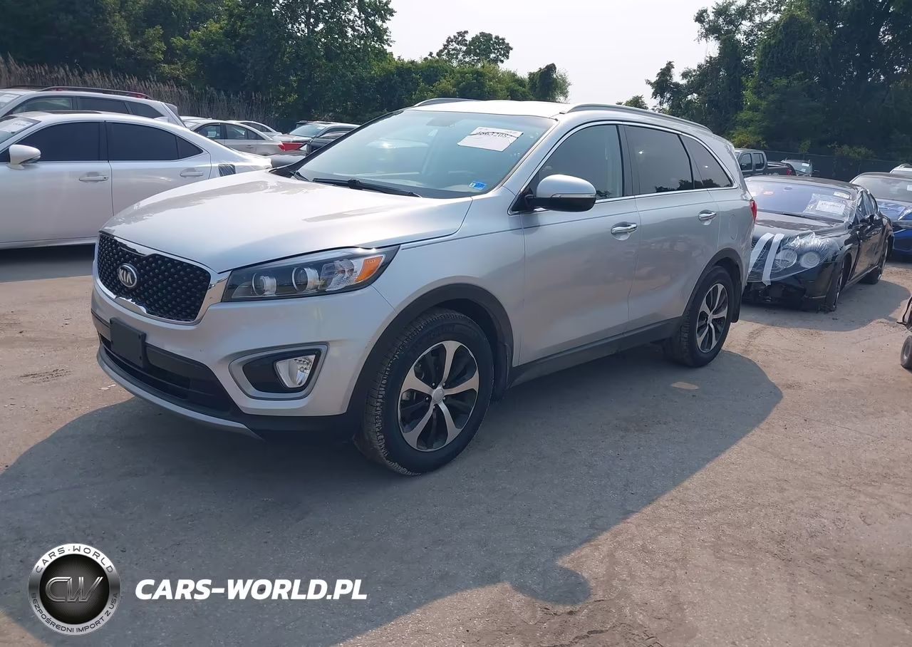 2017 Kia Sorento 2.0T Ex VIN:5XYPH4A17HG273481 - 2