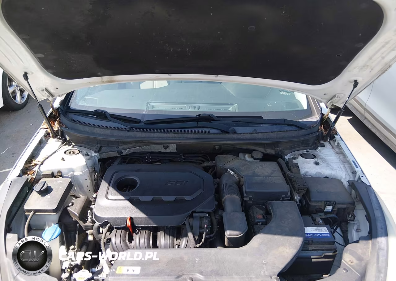 2015 Hyundai Sonata Se VIN:5NPE24AF6FH075307 - 10