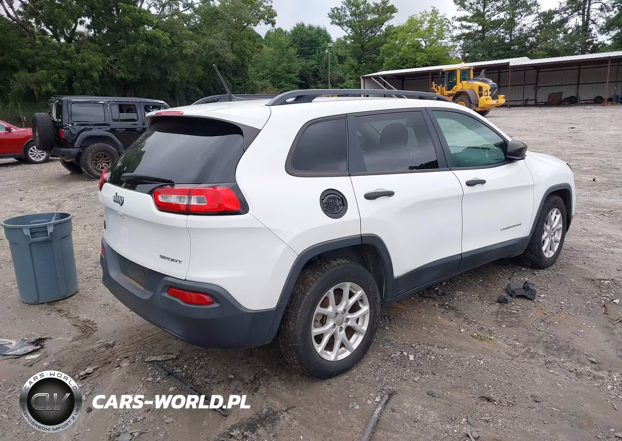2016 Jeep Cherokee Sport VIN:1C4PJLAB8GW238196 - 4