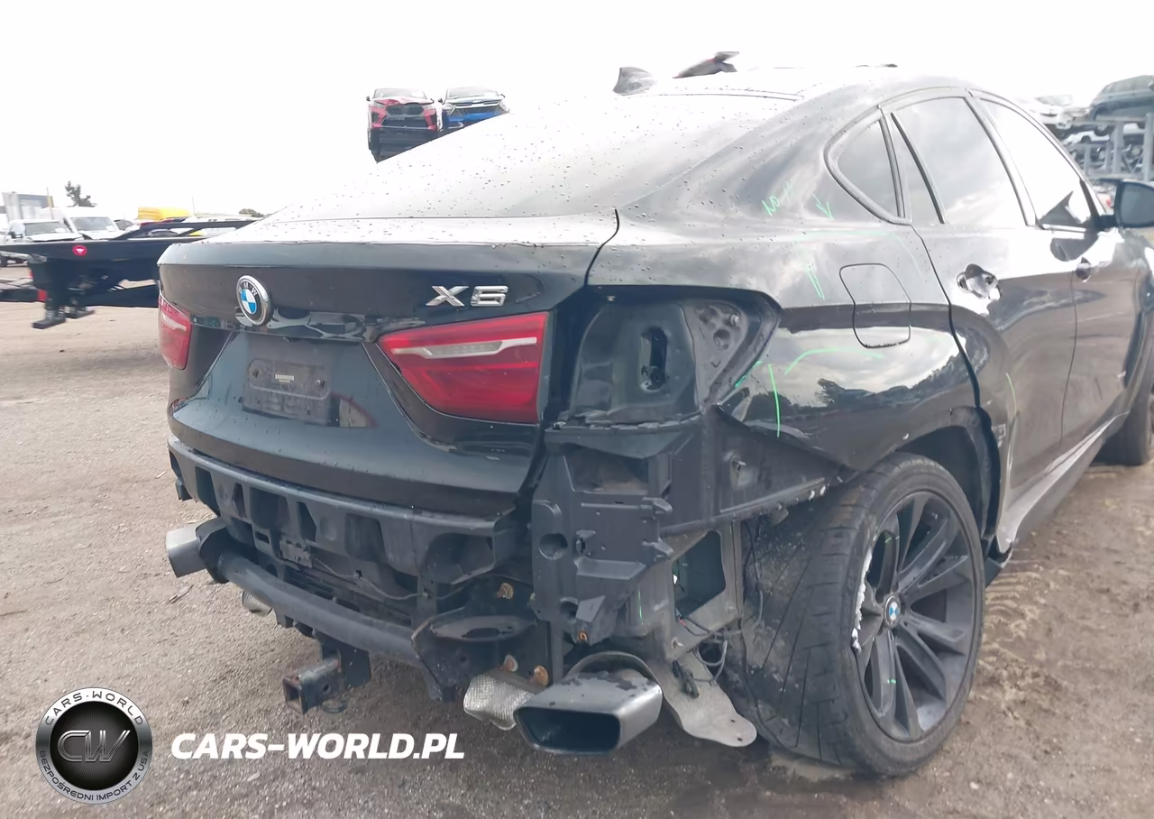 2017 BMW X6 xDrive35I VIN:5UXKU2C50H0N85205 - 19