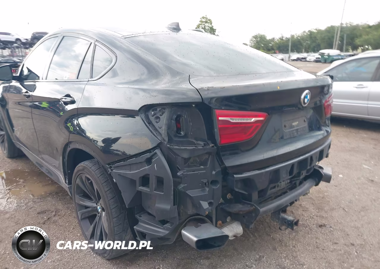2017 BMW X6 xDrive35I VIN:5UXKU2C50H0N85205 - 20