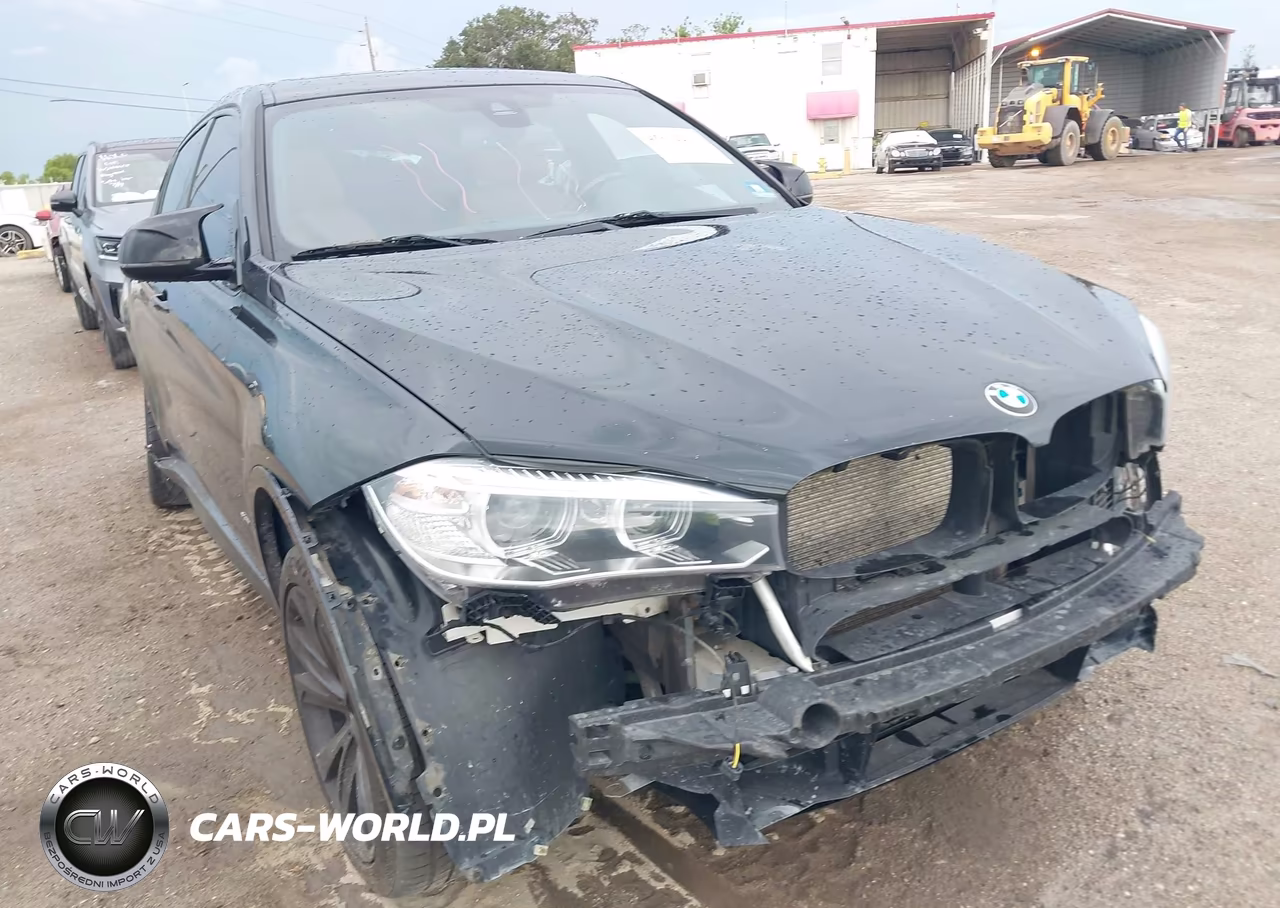 2017 BMW X6 xDrive35I VIN:5UXKU2C50H0N85205 - 22