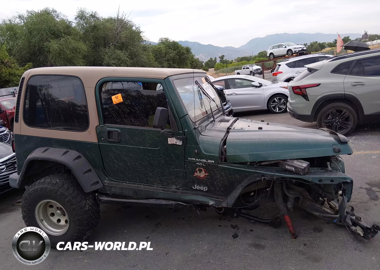 1999 Jeep Wrangler Sahara VIN:1J4FY49S9XP401783 - 14