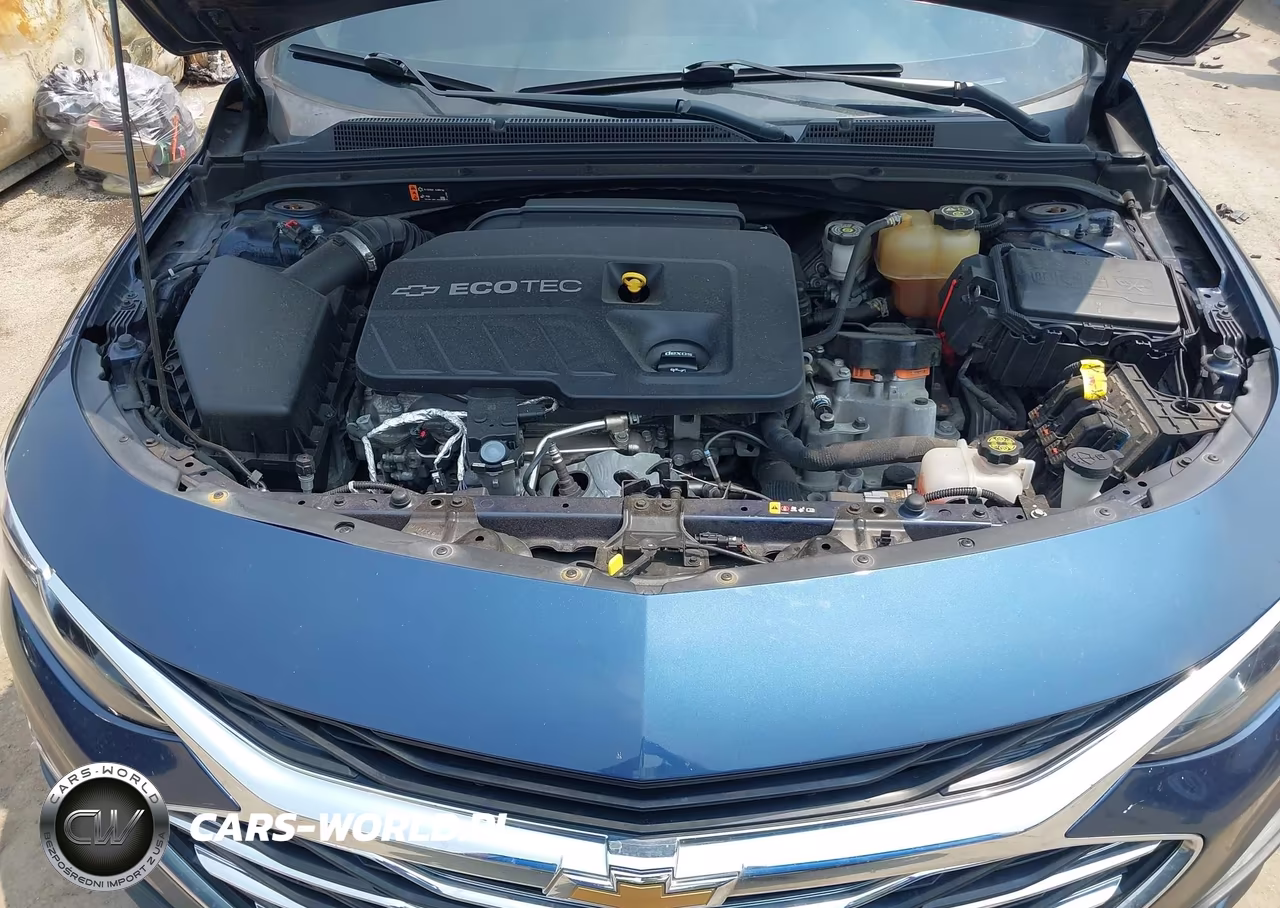 2019 Chevrolet Malibu Hybrid VIN:1G1ZF5SU7KF179794 - 10