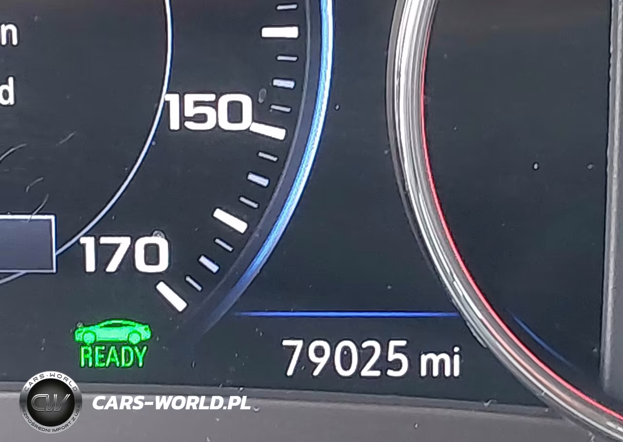 2019 Chevrolet Malibu Hybrid VIN:1G1ZF5SU7KF179794 - 16