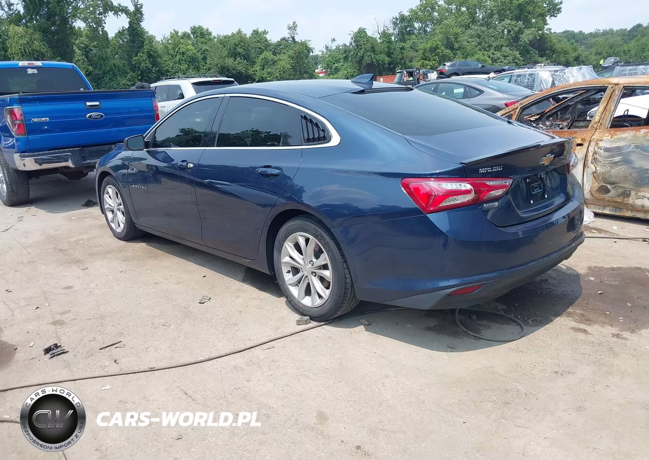2019 Chevrolet Malibu Hybrid VIN:1G1ZF5SU7KF179794 - 3