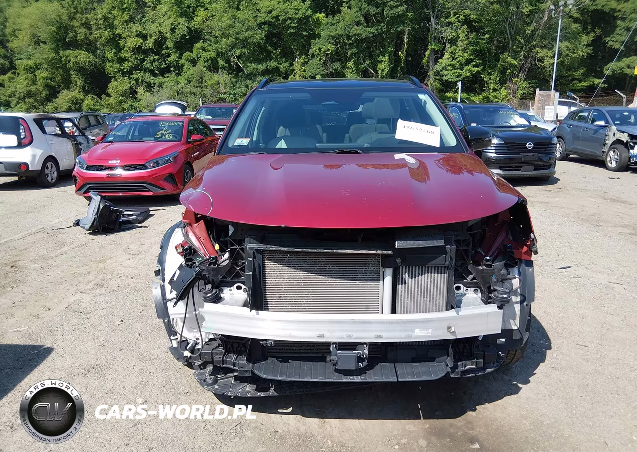 2021 Kia Sorento Sx VIN:5XYRKDLF8MG017962 - 13