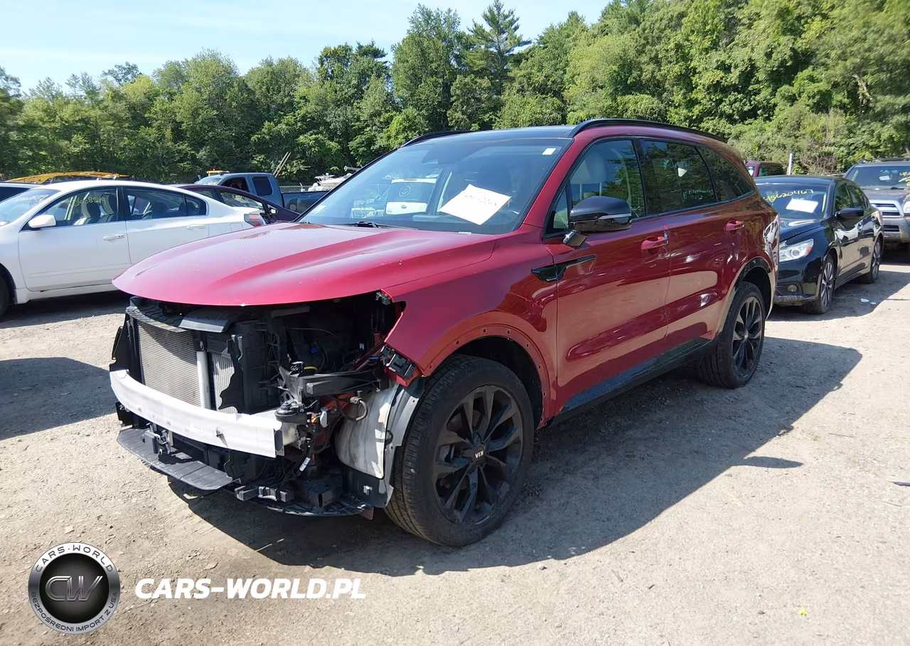 2021 Kia Sorento Sx VIN:5XYRKDLF8MG017962 - 2