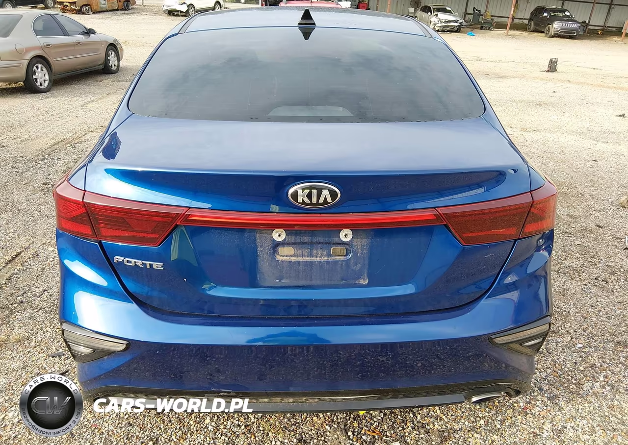 2019 Kia Forte Lxs VIN:3KPF24AD4KE031100 - 17
