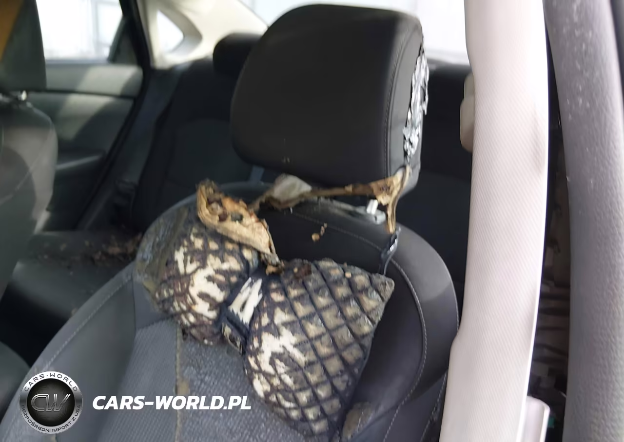 2019 Kia Forte Lxs VIN:3KPF24AD4KE031100 - 18