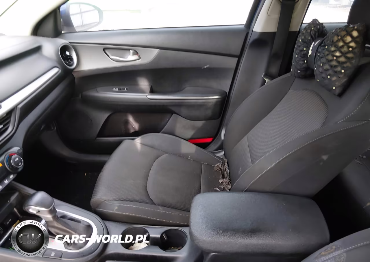 2019 Kia Forte Lxs VIN:3KPF24AD4KE031100 - 19