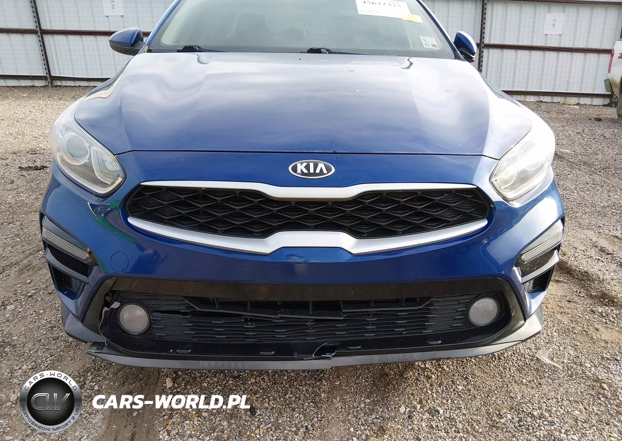 2019 Kia Forte Lxs VIN:3KPF24AD4KE031100 - 20