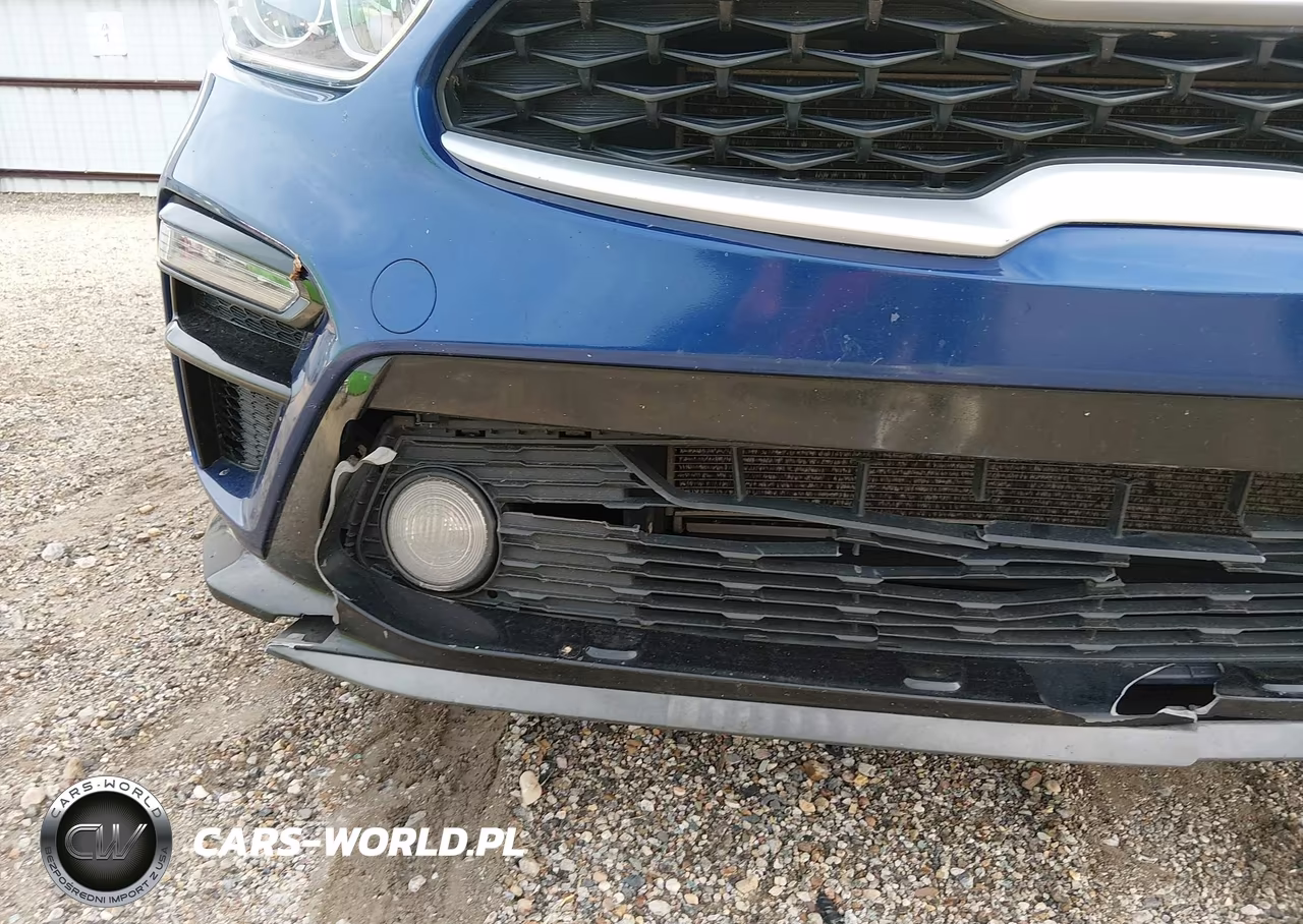 2019 Kia Forte Lxs VIN:3KPF24AD4KE031100 - 21