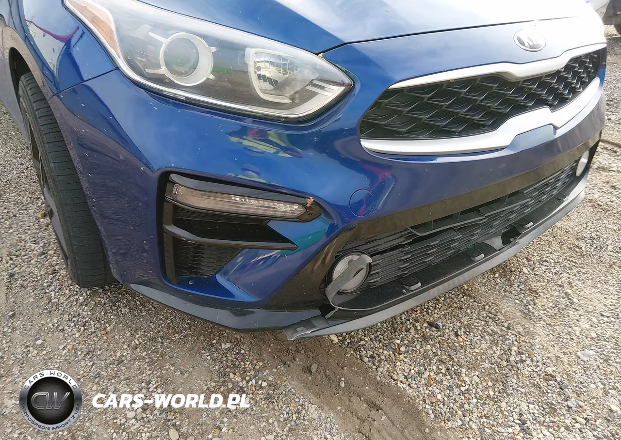 2019 Kia Forte Lxs VIN:3KPF24AD4KE031100 - 22