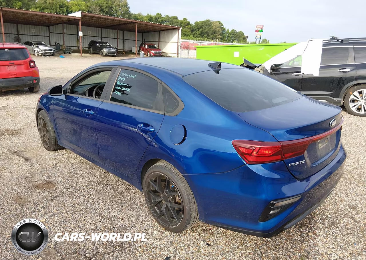 2019 Kia Forte Lxs VIN:3KPF24AD4KE031100 - 3