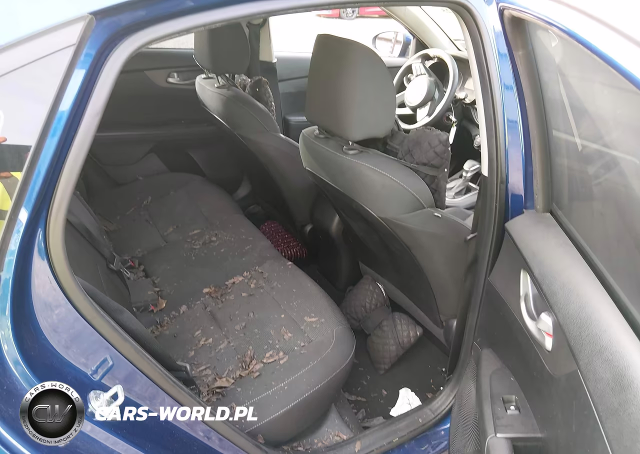 2019 Kia Forte Lxs VIN:3KPF24AD4KE031100 - 8