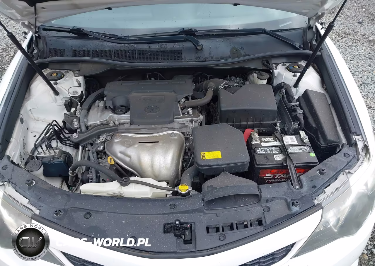 2014 Toyota Camry Se VIN:4T1BF1FK3EU401544 - 10