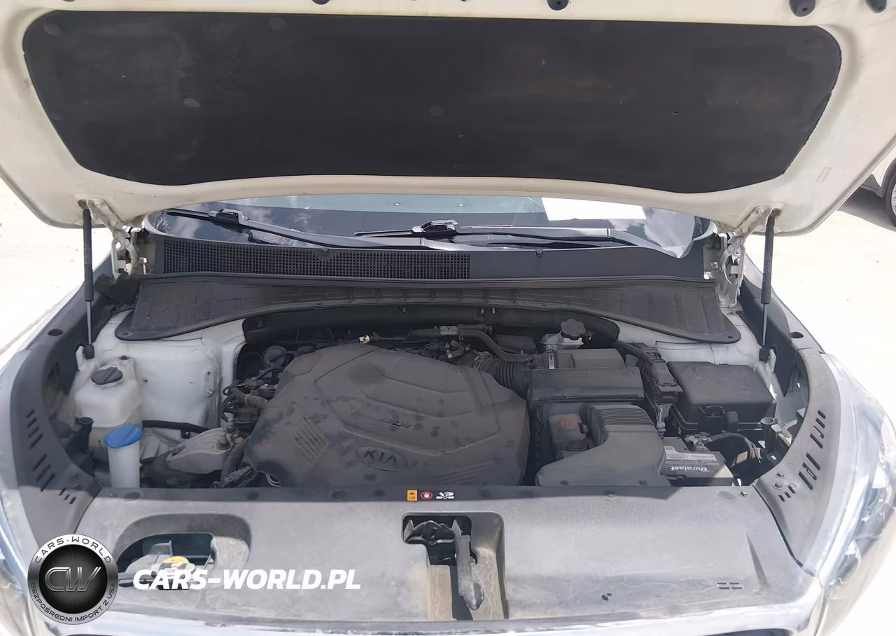 2020 Kia Sorento 3.3L Lx VIN:5XYPG4A52LG669221 - 10