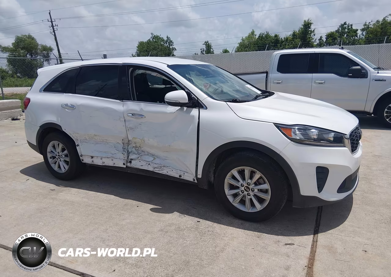 2020 Kia Sorento 3.3L Lx VIN:5XYPG4A52LG669221 - 13