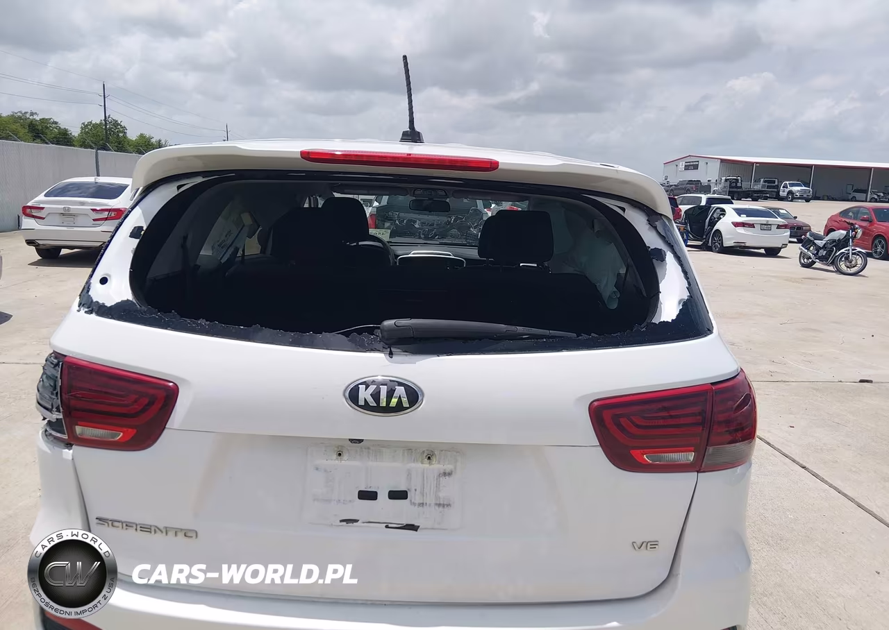 2020 Kia Sorento 3.3L Lx VIN:5XYPG4A52LG669221 - 17