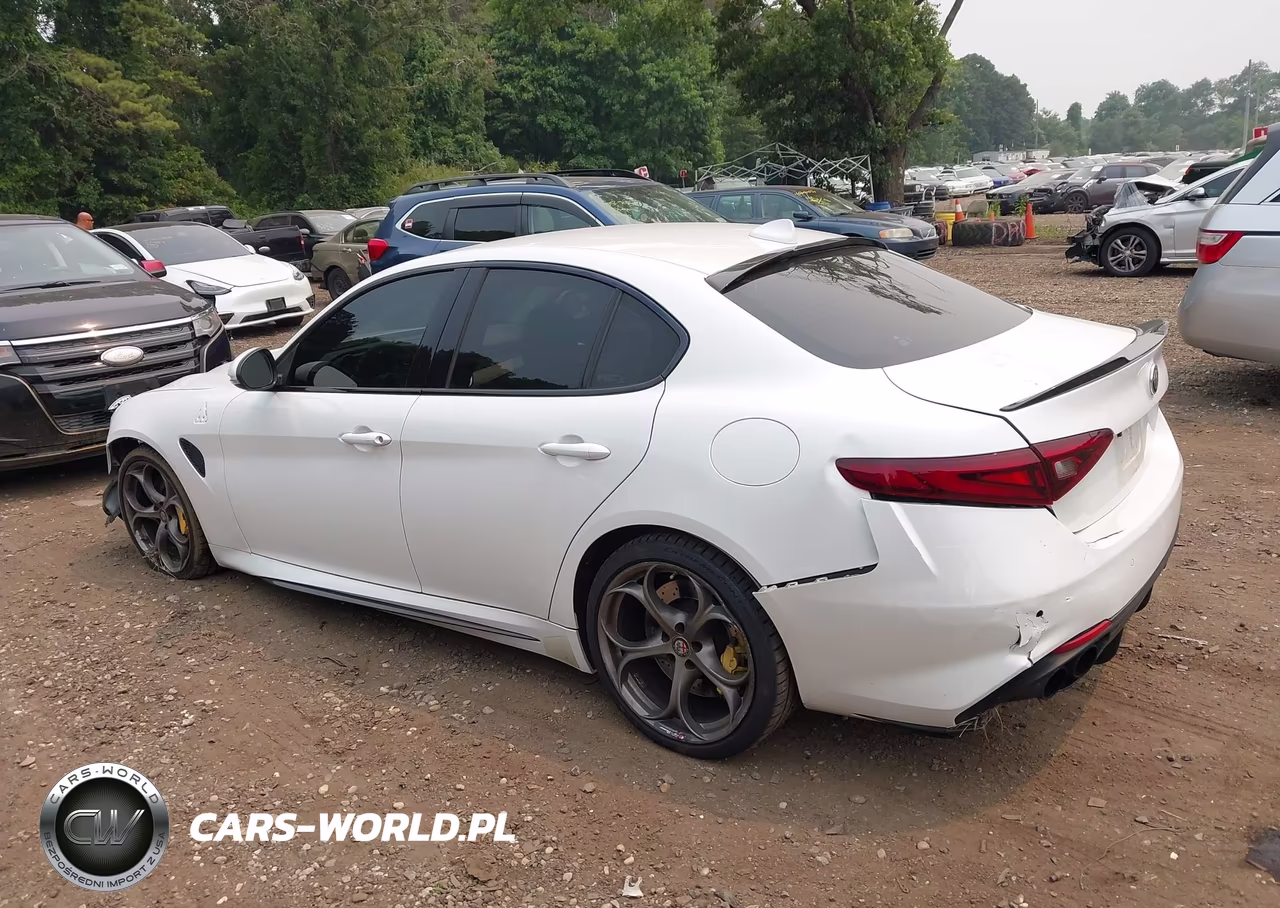 2017 Alfa Romeo Giulia Quadrifoglio Quadrifoglio VIN:ZARFAEAV2H7544927 - 14