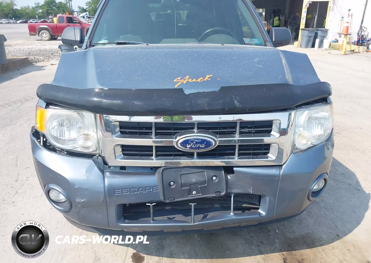 2011 Ford Escape Xlt VIN:1FMCU9D71BKB45015 - 6