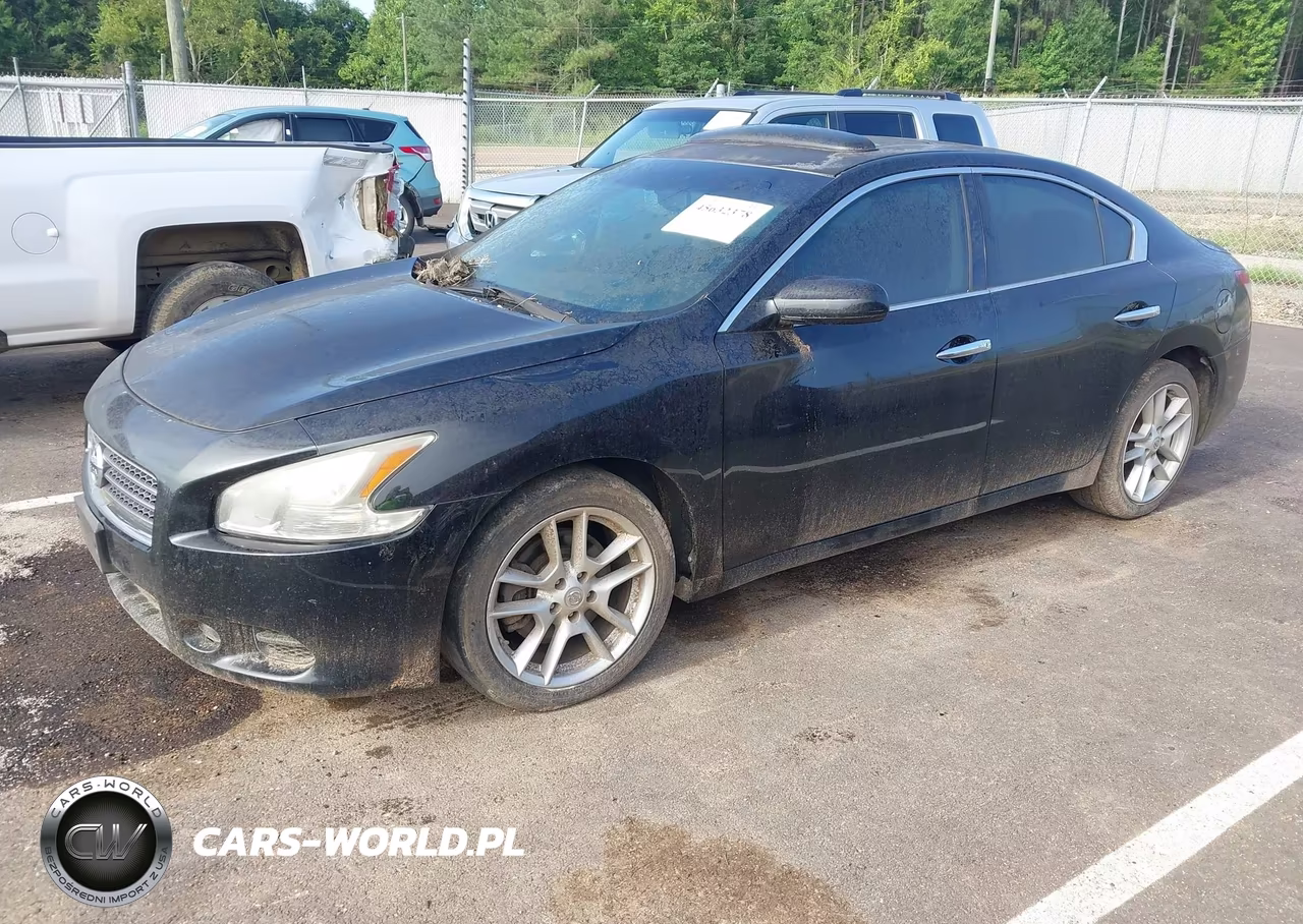 2009 Nissan Maxima 3.5 S VIN:1N4AA51E69C840360 - 2