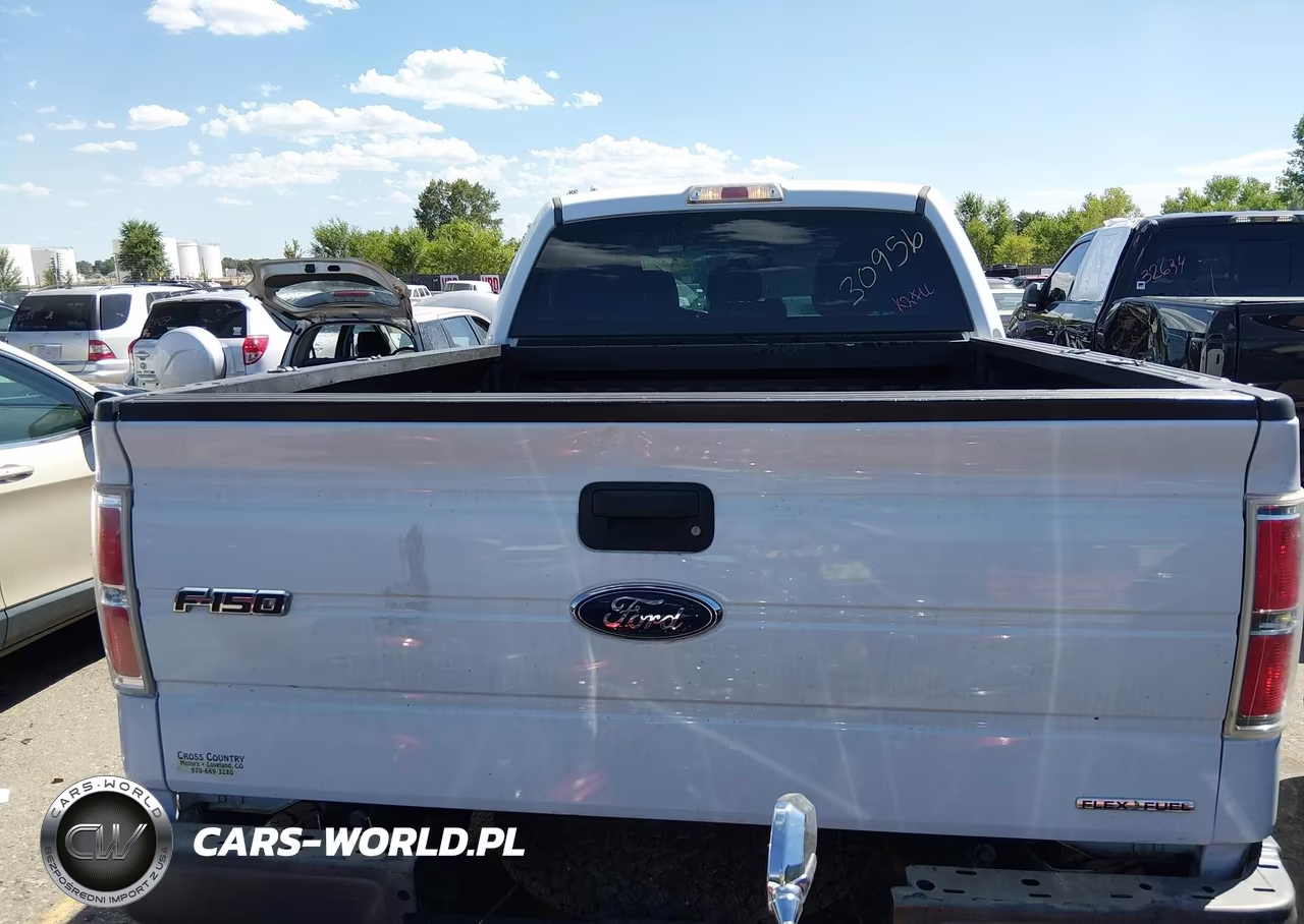 2014 Ford F-150 Xl VIN:1FTFW1EF1EKF81029 - 16