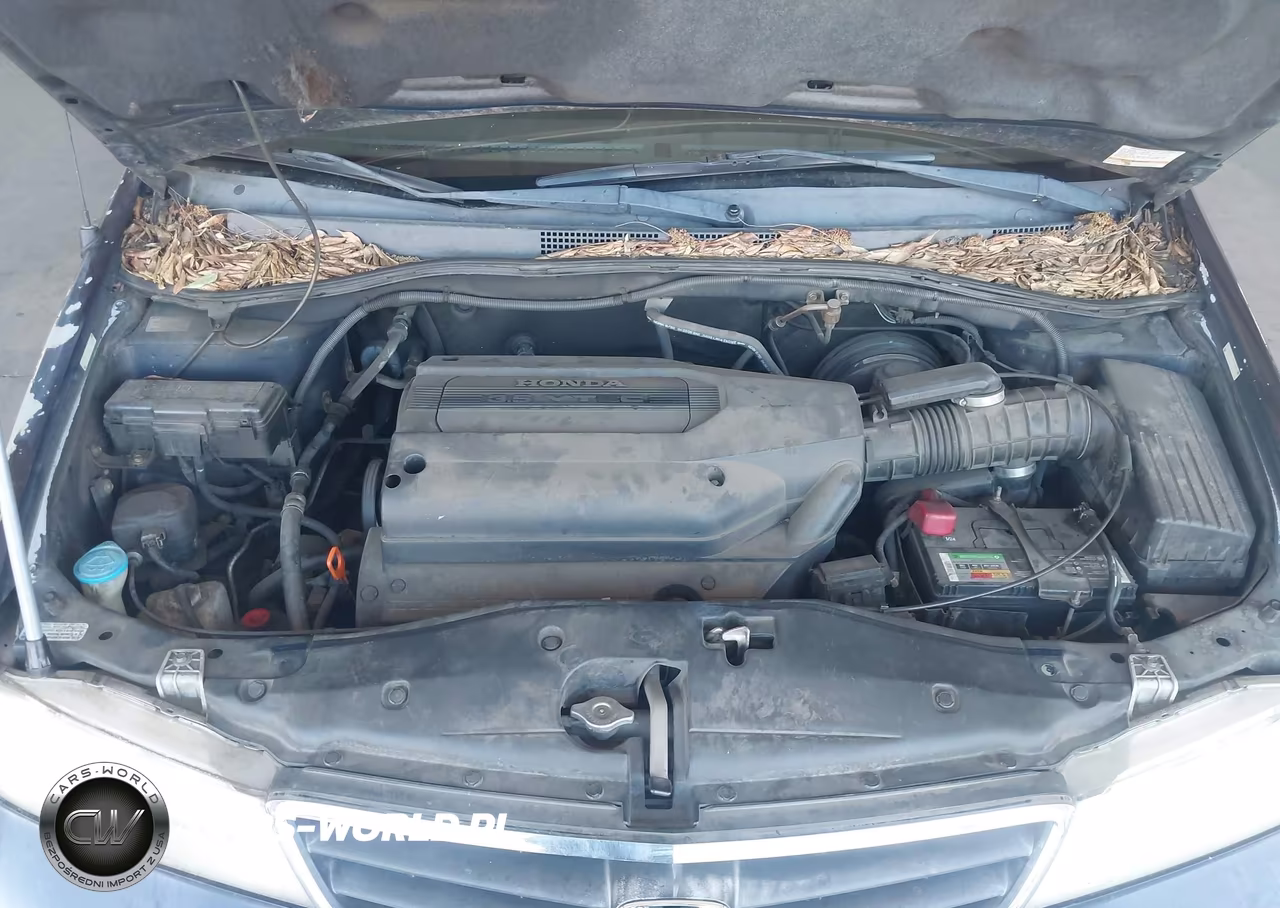 2004 Honda Odyssey Ex-L VIN:5FNRL187X4B139159 - 10