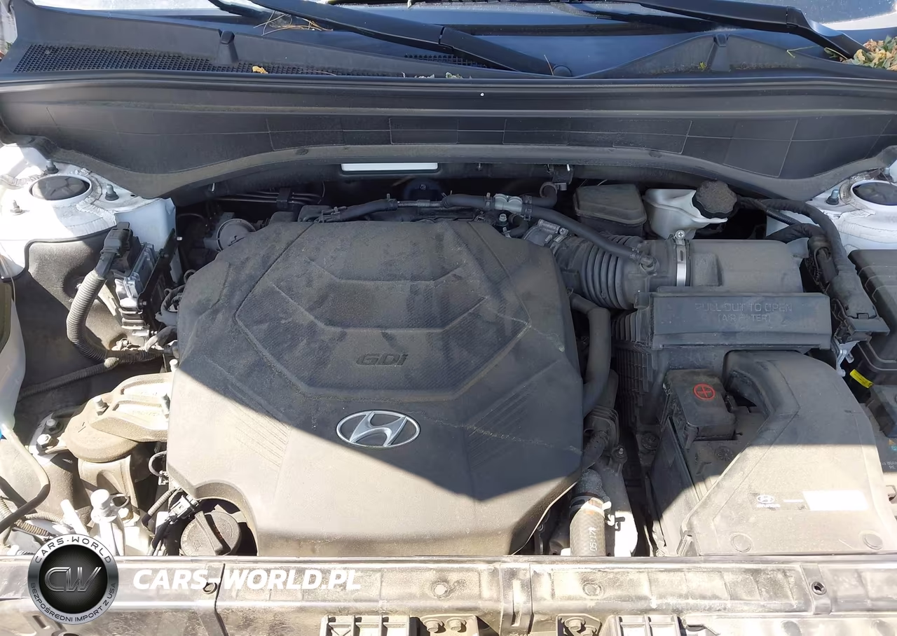 2020 Hyundai Palisade Sel VIN:KM8R4DHE5LU141223 - 10