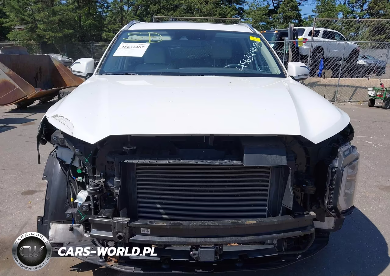 2020 Hyundai Palisade Sel VIN:KM8R4DHE5LU141223 - 13