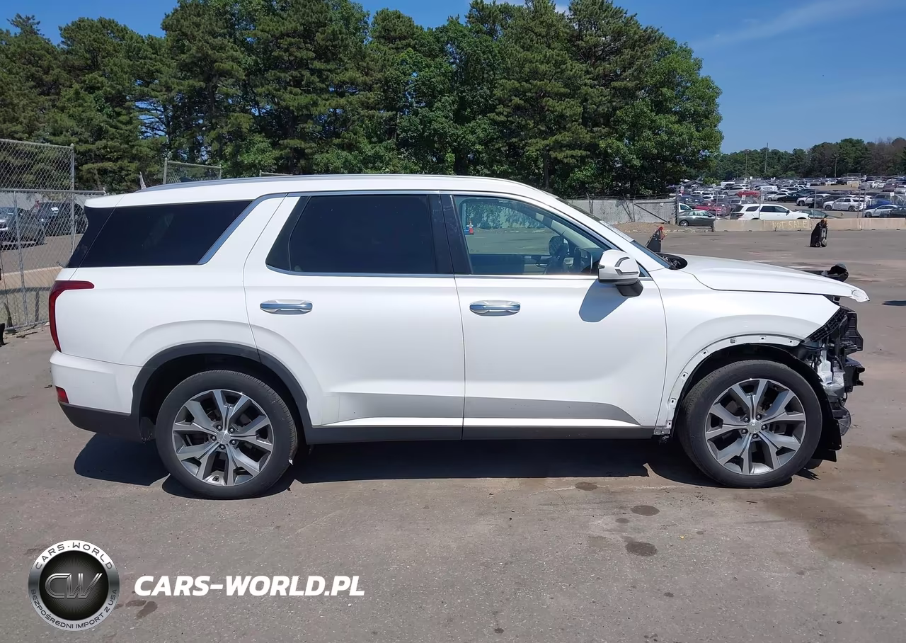 2020 Hyundai Palisade Sel VIN:KM8R4DHE5LU141223 - 14