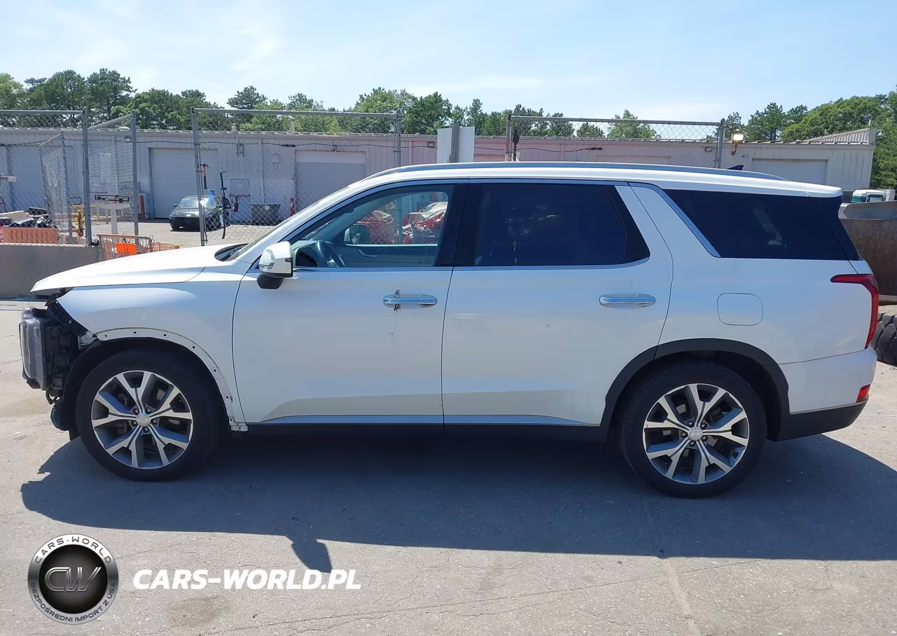 2020 Hyundai Palisade Sel VIN:KM8R4DHE5LU141223 - 15