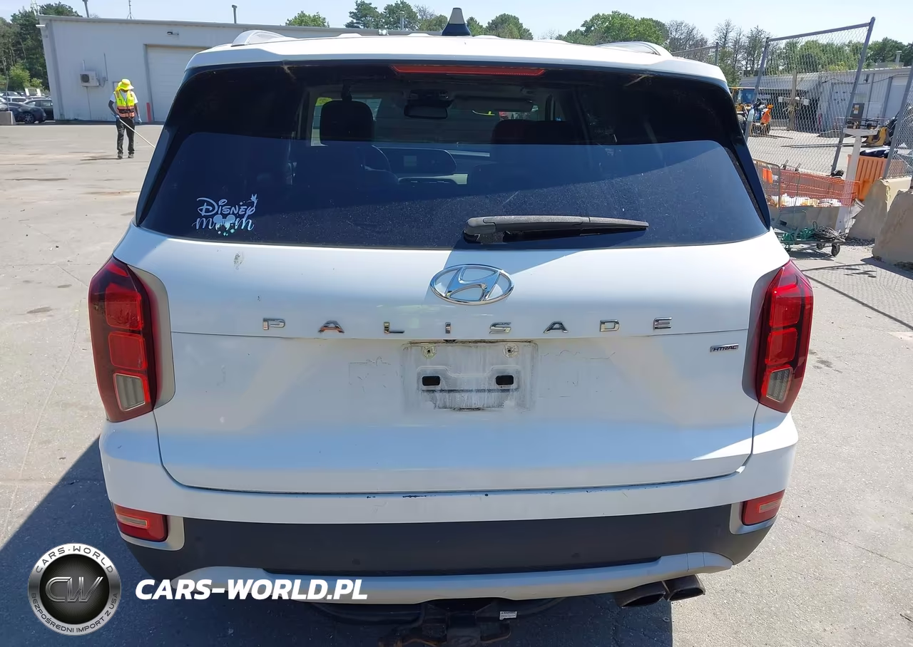 2020 Hyundai Palisade Sel VIN:KM8R4DHE5LU141223 - 17