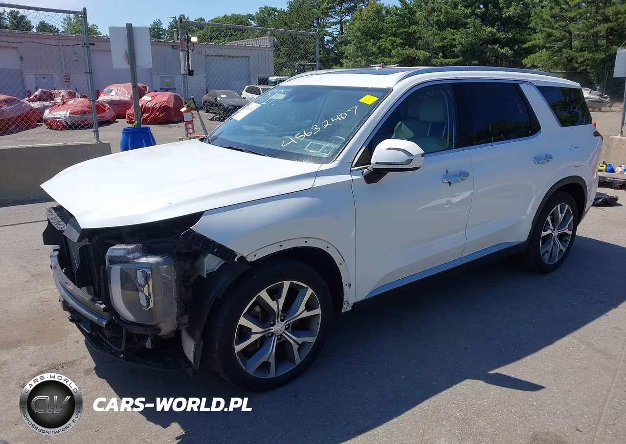 2020 Hyundai Palisade Sel VIN:KM8R4DHE5LU141223 - 2