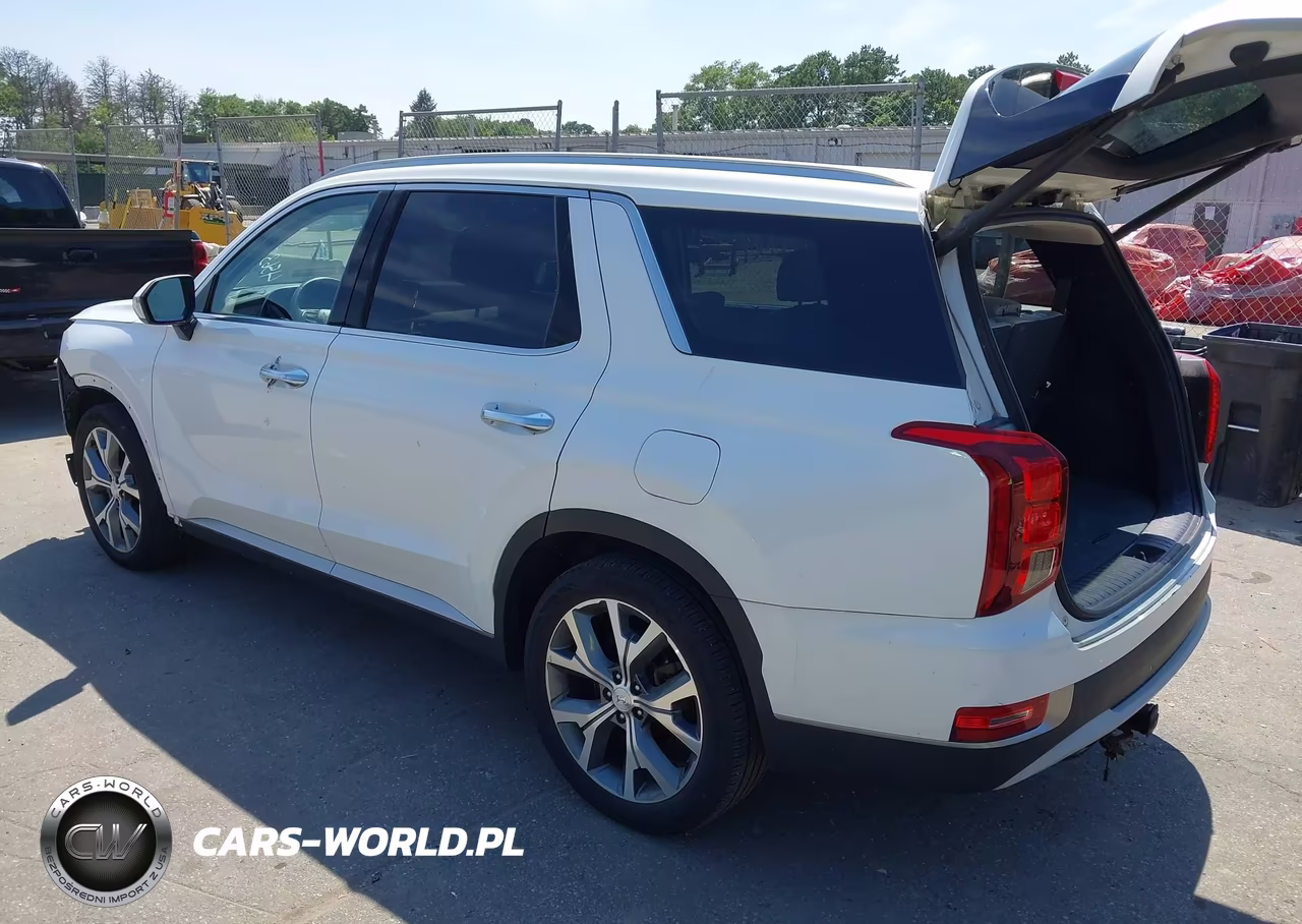 2020 Hyundai Palisade Sel VIN:KM8R4DHE5LU141223 - 3
