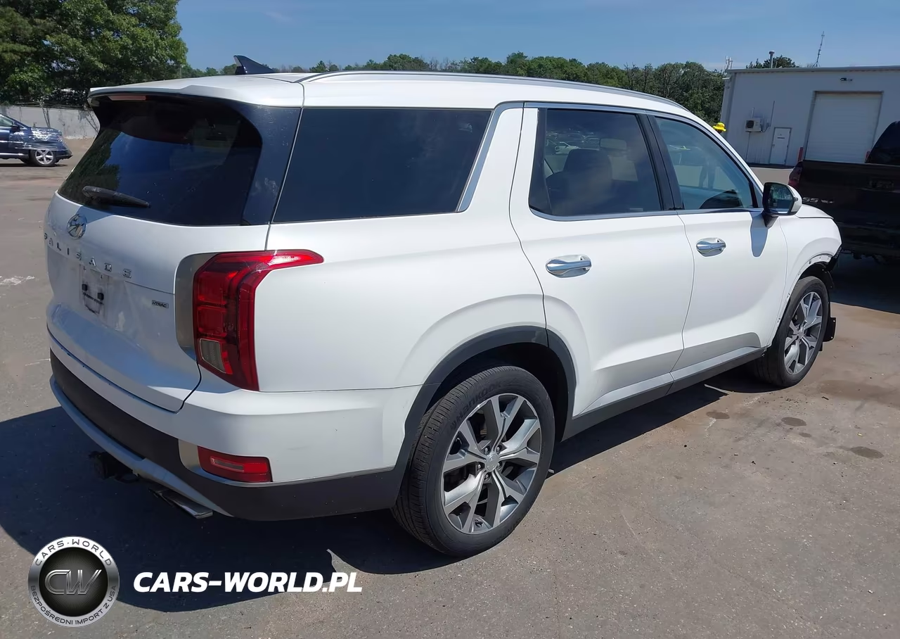 2020 Hyundai Palisade Sel VIN:KM8R4DHE5LU141223 - 4