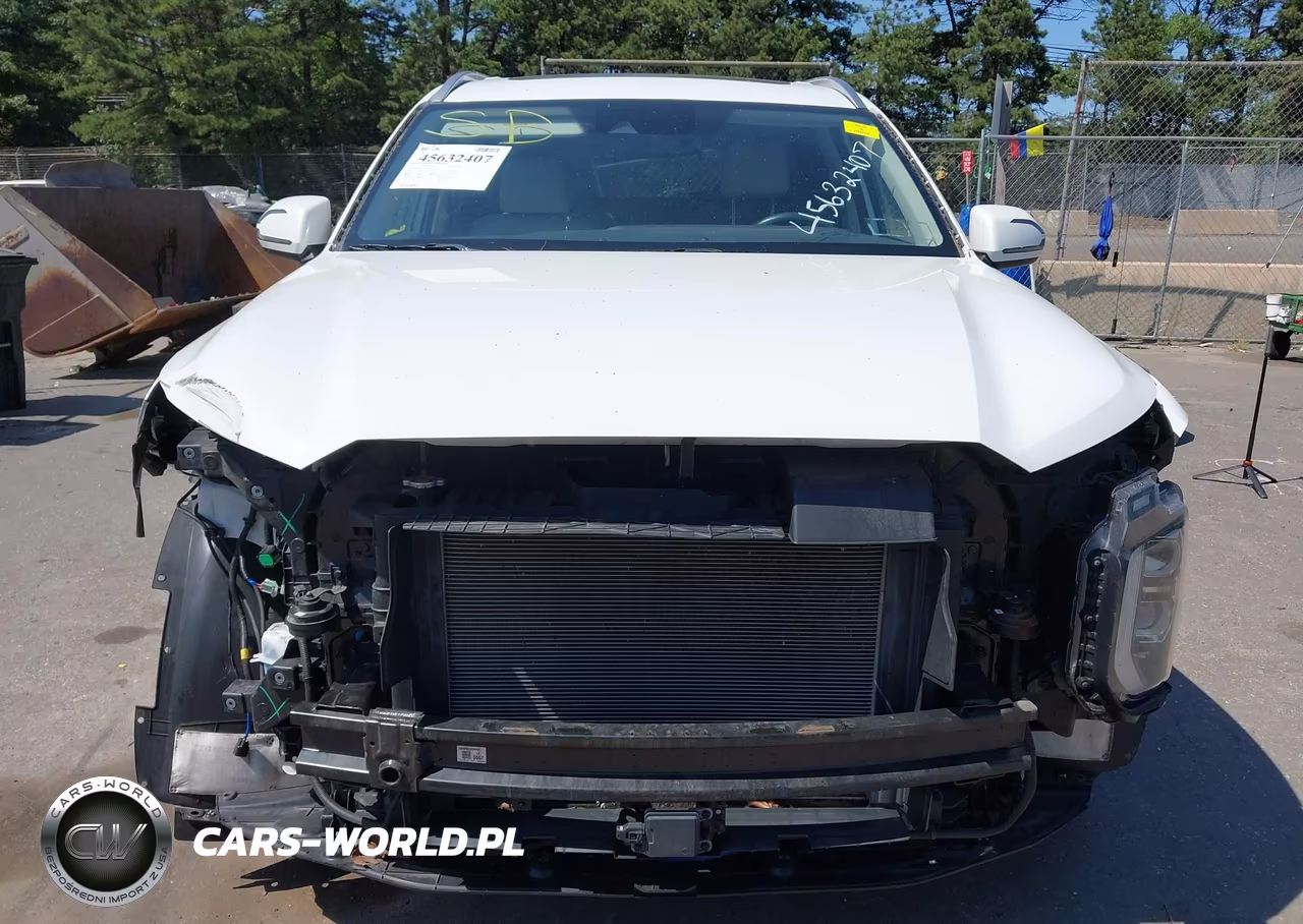 2020 Hyundai Palisade Sel VIN:KM8R4DHE5LU141223 - 6