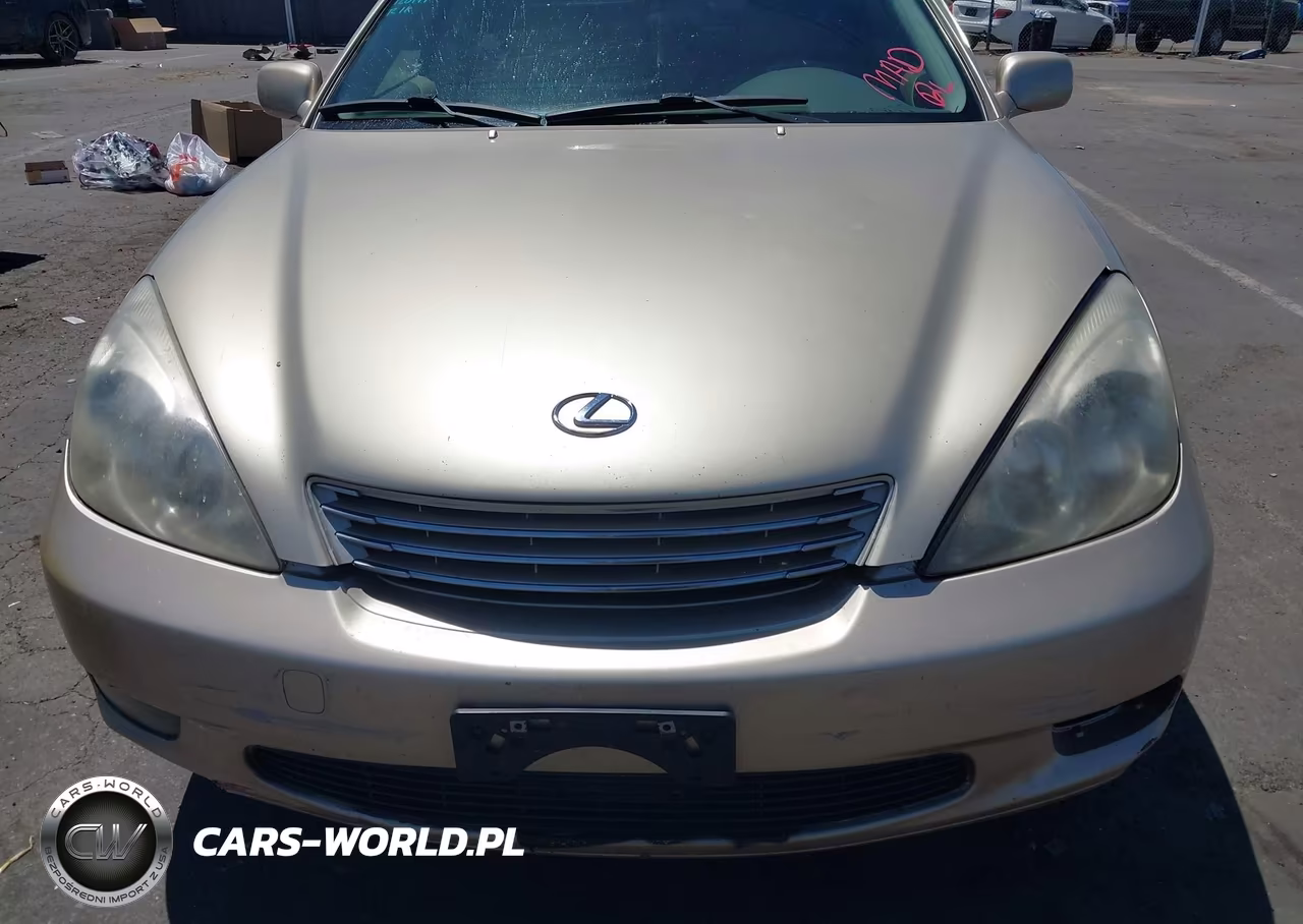 2002 Lexus Es 300 VIN:JTHBF30G520080502 - 6
