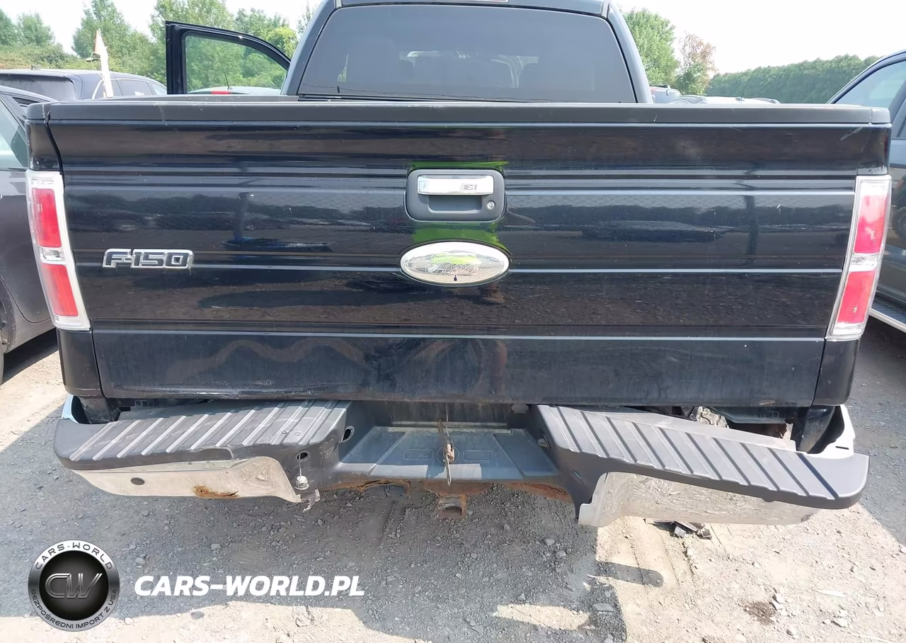 2011 Ford F-150 Xlt VIN:1FTFX1ET8BFD05440 - 6