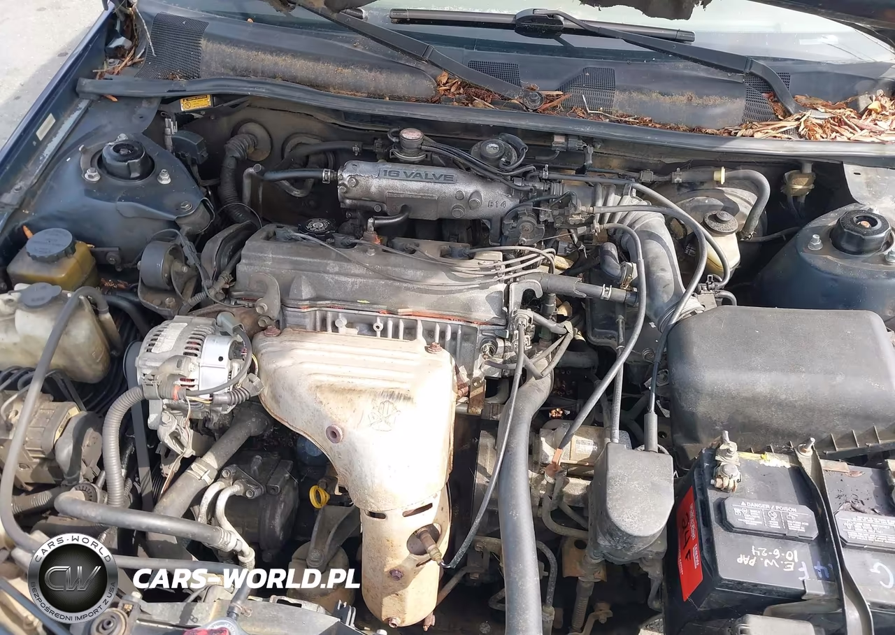 1999 Toyota Camry Le VIN:4T1BG22K5XU408863 - 10