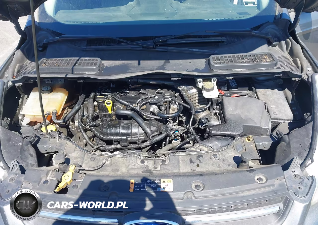 2014 Ford Escape Se VIN:1FMCU0GX2EUE25798 - 10